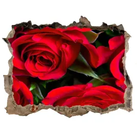 dziura-naklejki-dekoracyjne-czerwone-roze-168x113