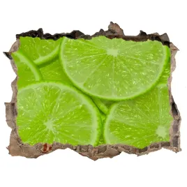 naklejka-3d-dziura-na-sciane-cegla-limonki-168x113