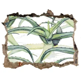 naklejka-3d-dziura-na-sciane-samoprzylepna-aloes