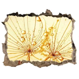 naklejka-3d-dziura-na-sciane-nasiona-dmuchawca