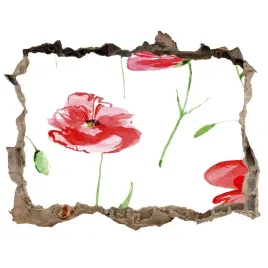 naklejka-3d-dziura-na-sciane-samoprzylepna-maki