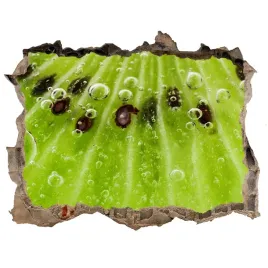 naklejka-3d-dziura-na-sciane-okleina-kiwi-168x113
