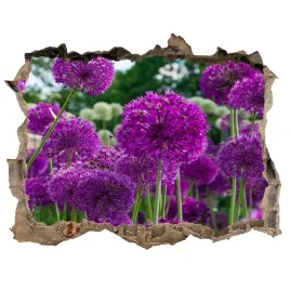 naklejka-3d-dziura-samoprzylepna-kwiaty-czosnku