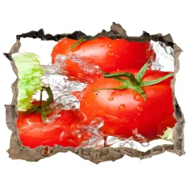 naklejka-3d-dziura-pomidory-i-salata-168x113