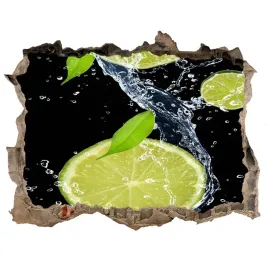 naklejka-3d-dziura-okleina-limonki-i-woda-168x113