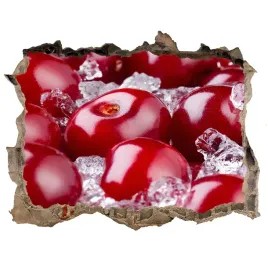 naklejka-3d-dziura-okleina-mrozona-wisnia-168x113