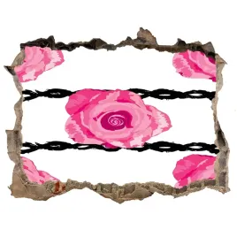 naklejka-3d-dziura-samoprzylepna-roze-168x113