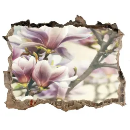 naklejka-3d-dziura-samoprzylepna-magnolia-168x113