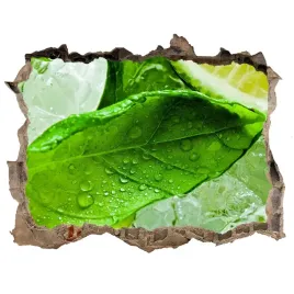 naklejka-3d-dziura-scienna-limonka-z-lodem-168x113