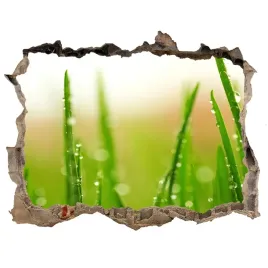 samoprzylepna-dziura-na-sciane-naklejka-trawa