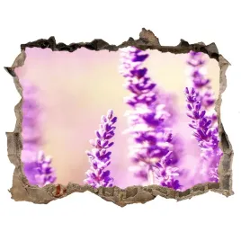 samoprzylepna-dziura-3d-naklejka-lawenda-168x113