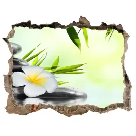 samoprzylepna-dziura-na-sciane-orchidea-i-bambus