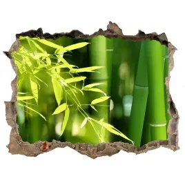 samoprzylepna-dziura-na-sciane-naklejka-bambus