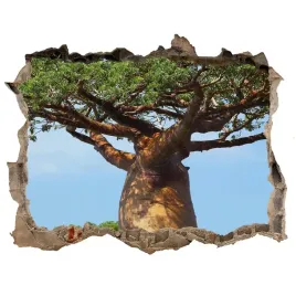 samoprzylepna-dziura-na-sciane-naklejka-baobab