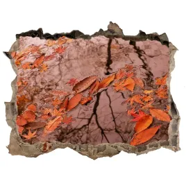 samoprzylepna-dziura-na-sciane-liscie-na-wodzie