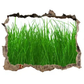 samoprzylepna-dziura-na-sciane-naklejka-trawa