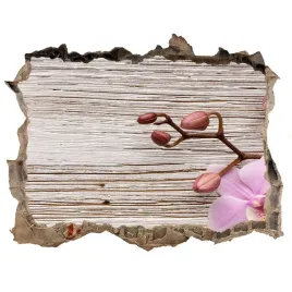 samoprzylepna-dziura-na-sciane-orchidea-na-drewnie