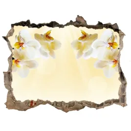 samoprzylepna-dziura-na-sciane-naklejka-orchidea