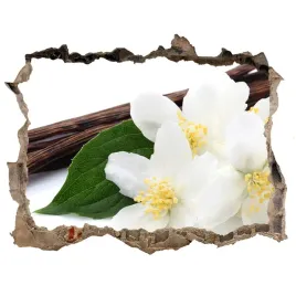 samoprzylepna-dziura-na-sciane-jasmin-i-wanilia