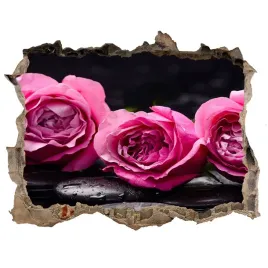 samoprzylepna-dziura-na-sciane-rozowe-roze-168x113