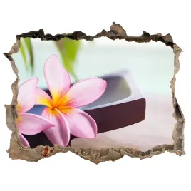 samoprzylepna-dziura-na-sciane-naklejka-plumeria