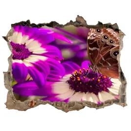 samoprzylepna-dziura-na-sciane-motyl-na-kwiatku