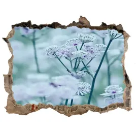 samoprzylepna-dziura-na-sciane-jarzmianka-wieksza