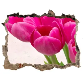 samoprzylepna-dziura-na-sciane-rozowe-tulipany