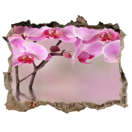 samoprzylepna-dziura-na-sciane-rozowa-orchidea