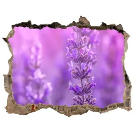 samoprzylepna-dziura-3d-naklejka-lawenda-168x113