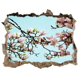 samoprzylepna-dziura-naklejka-kwiaty-magnolii