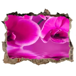 samoprzylepna-dziura-naklejka-orchidea-168x113