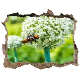 samoprzylepna-dziura-na-sciane-kwitnacy-czosnek