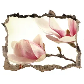 samoprzylepna-dziura-naklejka-magnolia-168x113