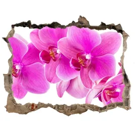 samoprzylepna-dziura-naklejka-rozowa-orchidea