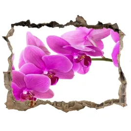 samoprzylepna-dziura-naklejka-rozowa-orchidea
