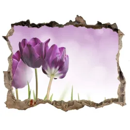 samoprzylepna-dziura-naklejka-filetowe-tulipany