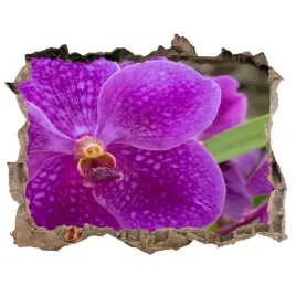 samoprzylepna-dziura-naklejka-orchidea-168x113