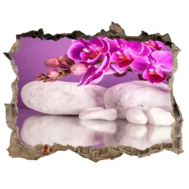 samoprzylepna-dziura-naklejka-rozowa-orchidea
