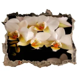 samoprzylepna-dziura-naklejka-orchidea-168x113