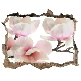 samoprzylepna-dziura-naklejka-magnolia-168x113