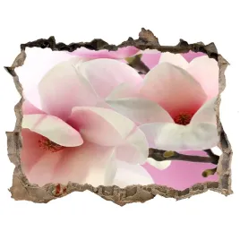 samoprzylepna-dziura-naklejka-magnolia-168x113