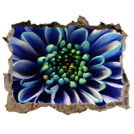 samoprzylepna-dziura-naklejka-cegla-aster-168x113
