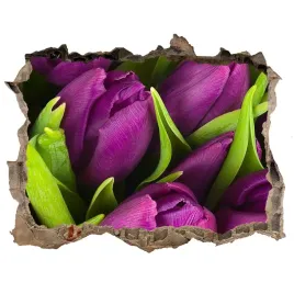 samoprzylepna-dziura-naklejka-fioletowe-tulipany