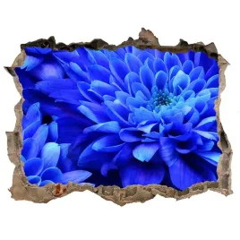samoprzylepna-dziura-naklejka-niebieski-aster