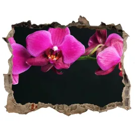 samoprzylepna-dziura-naklejka-orchidea-168x113