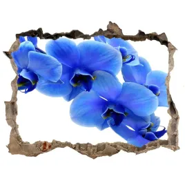 samoprzylepna-dziura-naklejka-niebieska-orchidea
