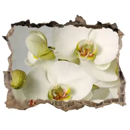 samoprzylepna-naklejka-biala-orchidea-168x113