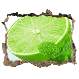 samoprzylepna-naklejka-limonka-z-lodem-168x113
