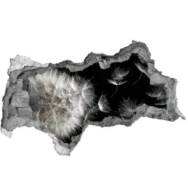 samoprzylepna-dziura-na-sciane-dmuchawiec-115x88